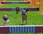 Enlarge photo 145