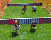 Enlarge photo 142