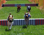 Enlarge photo 141