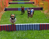 Enlarge photo 140