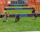 Enlarge photo 136