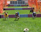 Enlarge photo 135
