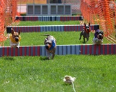 Enlarge photo 134