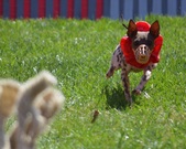 Enlarge photo 132