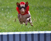 Enlarge photo 130