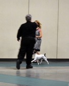 Enlarge photo 111