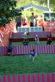 Enlarge photo 54