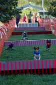 Enlarge photo 55