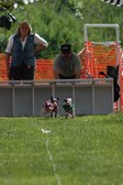 Enlarge photo 37