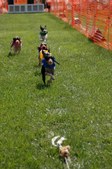 Enlarge photo 44