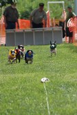 Enlarge photo 43