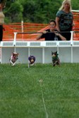 Enlarge photo 67