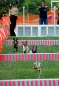 Enlarge photo 58