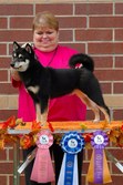 Enlarge photo 81