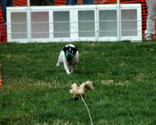 Enlarge photo 26