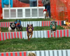 Enlarge photo 38