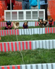 Enlarge photo 78