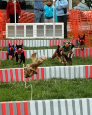 Enlarge photo 79