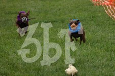 Enlarge photo 29