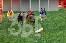 Enlarge photo 28