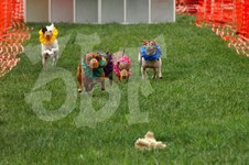 Enlarge photo 27