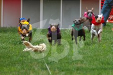 Enlarge photo 17