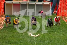 Enlarge photo 25