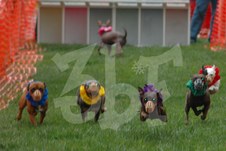 Enlarge photo 23