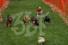 Enlarge photo 24