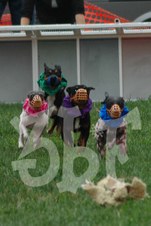 Enlarge photo 21