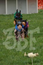 Enlarge photo 20