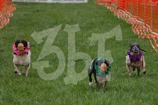 Enlarge photo 16