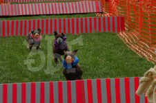 Enlarge photo 9