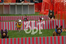 Enlarge photo 4