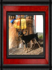 Enlarge photo 19