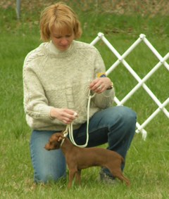 Enlarge photo 36