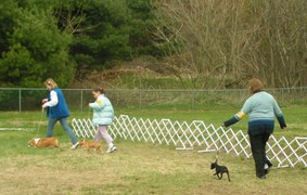 Enlarge photo 39
