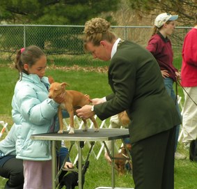 Enlarge photo 26