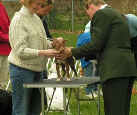 Enlarge photo 51