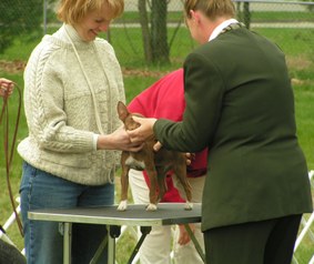 Enlarge photo 52