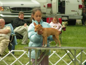 Enlarge photo 29