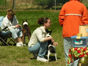 Enlarge photo 23