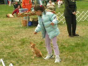 Enlarge photo 77