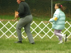 Enlarge photo 78