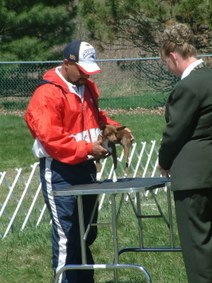 Enlarge photo 5
