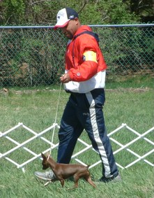 Enlarge photo 6