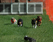 Enlarge photo 164