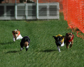 Enlarge photo 163
