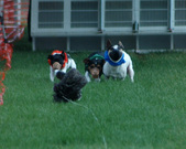 Enlarge photo 158