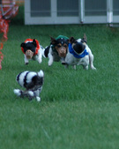 Enlarge photo 157